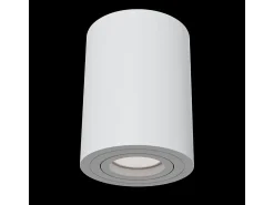 Alfa Downlight de Techo de Superficie Blanco, 1 Luz, GU10