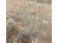 Alfombra abstracta - 120x170cm - dorado, marrón, beige - Aurora Dune