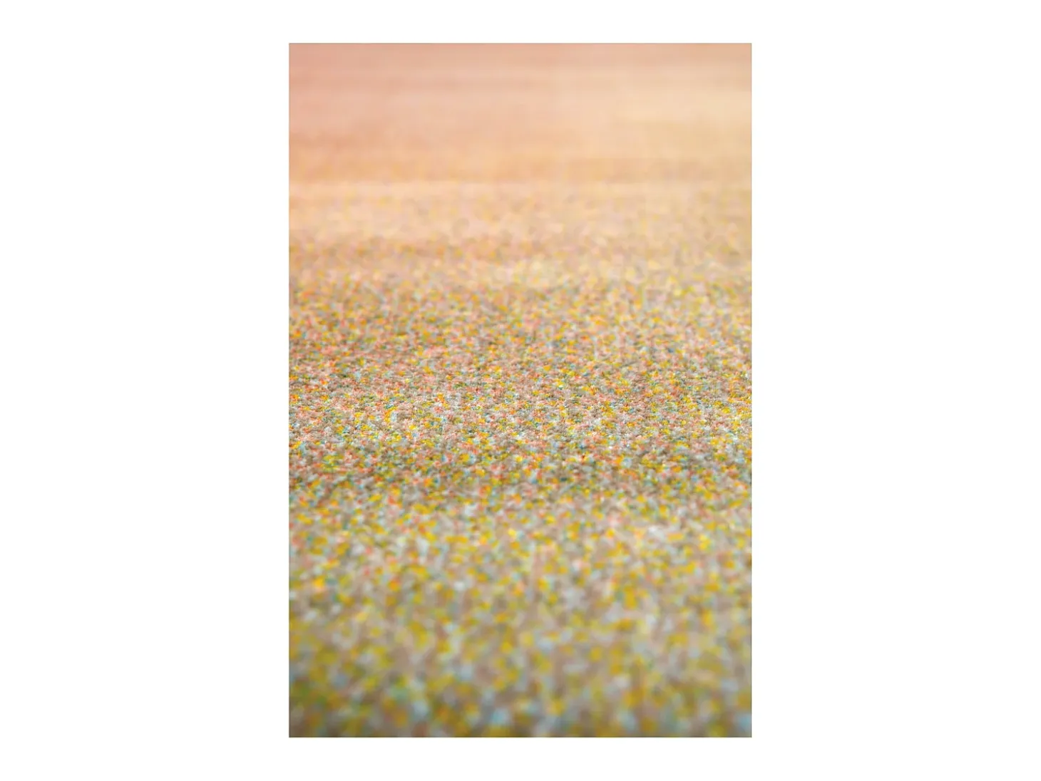 Alfombra Caro Multicolor 200 x 290 cm