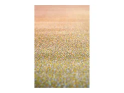 Alfombra Caro Multicolor 160 x 230 cm