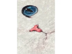 Alfombra de baño Blue Eyes (40 x 60) multicolor