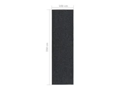 Alfombra de pasillo atrapa suciedad 100x350 cm gris antracita