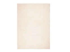 Alfombra de pelo corto suave lavable HUARTE beige 120x170 cm ES88776