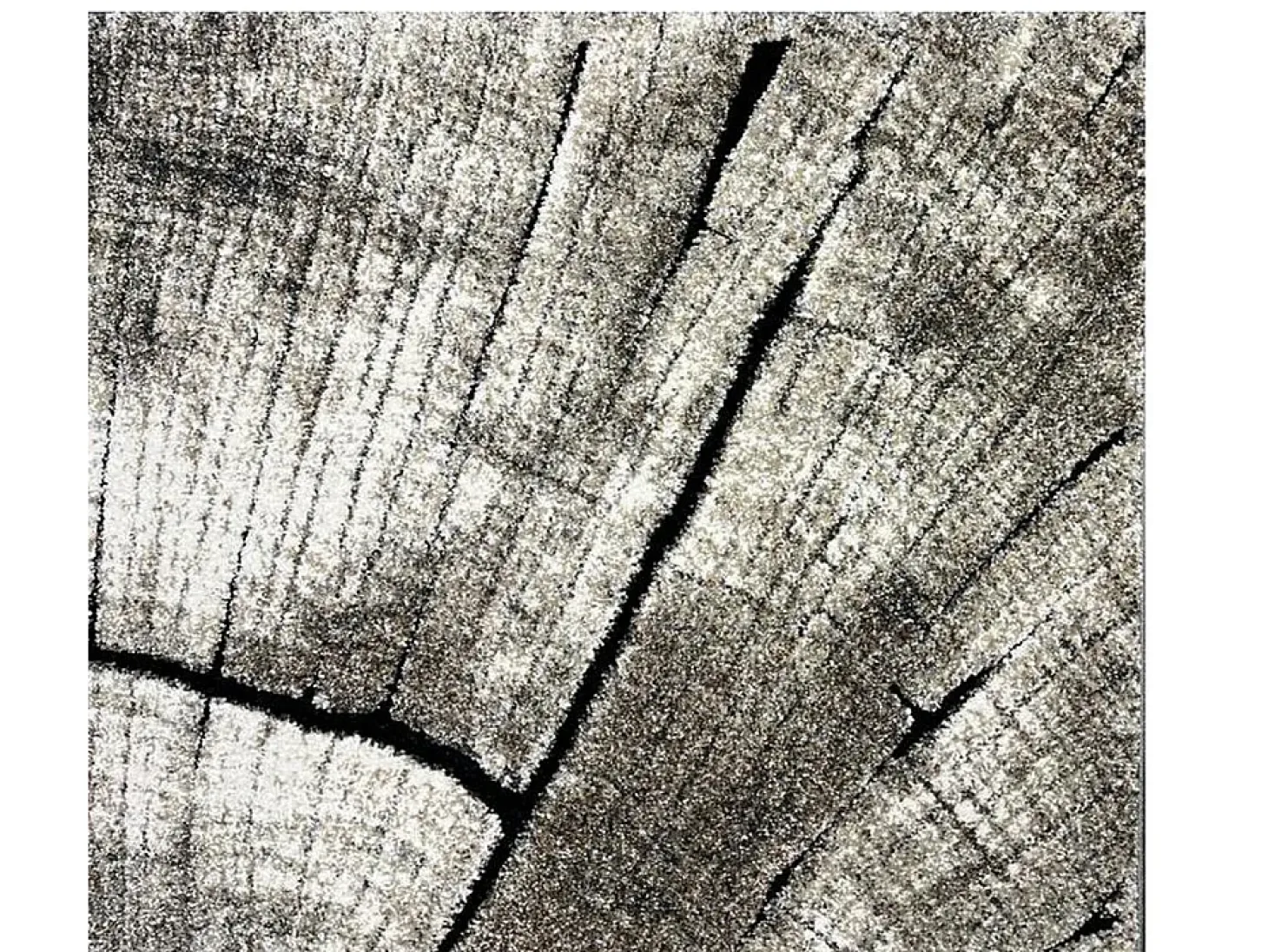 Alfombra Marla Diseño Moderno Árbol, Natural, 160x230 cm
