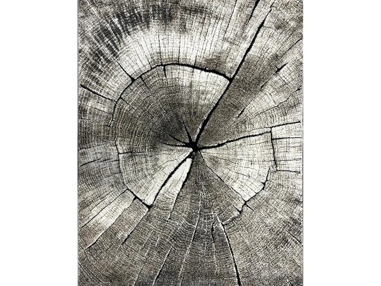 Alfombra Marla Diseño Moderno Árbol, Natural, 160x230 cm