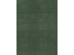 Alfombra Rio ala estar antideslizante arco, Bosque, 120 x 160 cm