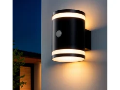 Aplique de Pared Exterior Solar LED Aluminio con Sensor de Movimiento Draco Negro
