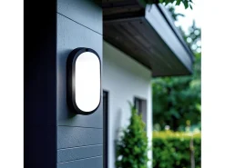 Aplique LED 25W Oval IP65 Black 6500K Blanco Frío