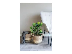 Arbol de skimmia artificial 75 cm