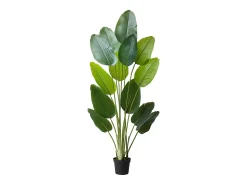 Ave del Paraíso Artificial SucceBuy, 1,8 m, Planta Artificial Tropical en Maceta, Falso Árbol Tropical, Planta Falsa Hojas Polietileno para Salón