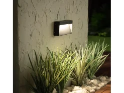 Baliza Exterior LED 6W Superficie Pared Columbia 4000K Blanco Neutro