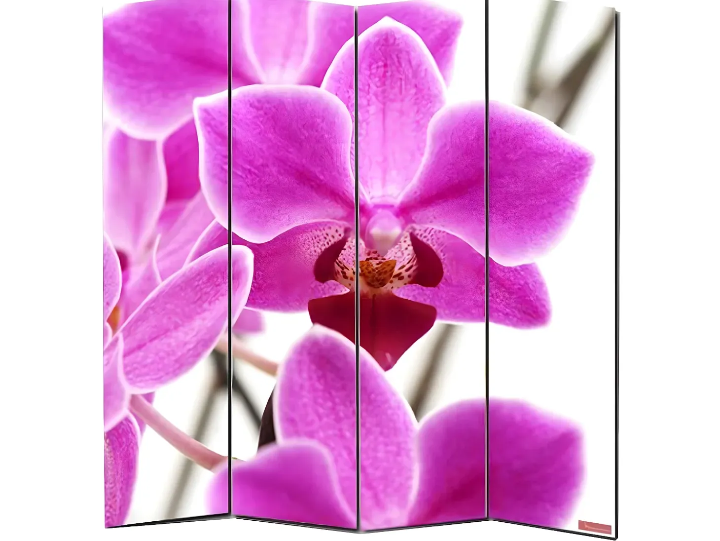 Biombo fotográfico Bagheria, 180 x 160 cm, orquídea