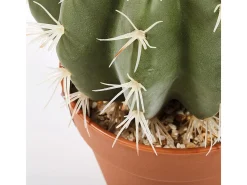 Cactus artificial stetsonia coryne 43 cm nortene 43 CM