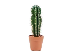 Cactus artificial stetsonia coryne 43 cm nortene 43 CM