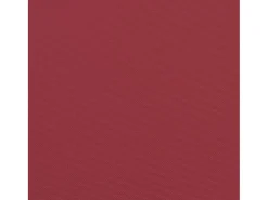 Cojines silla de jardín 2 unidades tela Oxford rojo tinto 40x40x7 cm