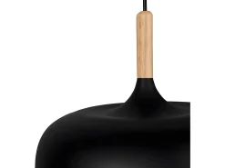 Colgante De La Serie Genaro Acabado Negro De