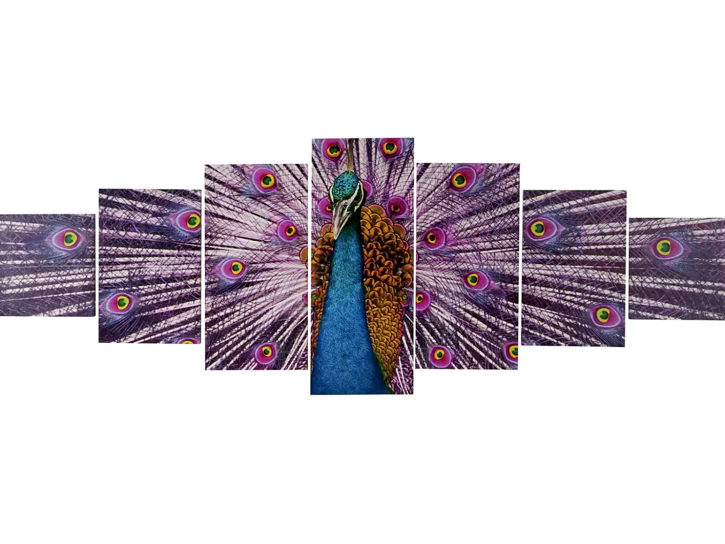 Cuadro en lienzo H375 XL Pavo real (7 unid.), Pavo real