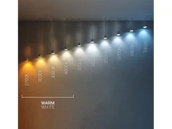 Downlight LED 15W Circular Baño IP44 Corte Ø 115 mm 2700K Blanco Cálido