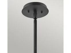 Elstead Hinkley Lotus Dome Pendel Takljus Svart