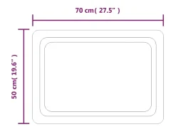 Espejo de baño con LED 70x50 cm ES956715