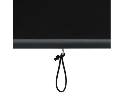Estor enrollable de exterior 160x250 cm Antracita