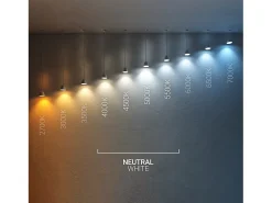 Foco Proyector LED 100W 145 lm/W IP65 HE Frost PRO Regulable 4000K Blanco Neutro