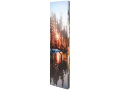 Fotopantalla con aislamiento acústico MCW-L55, 180x122cm Waldsee