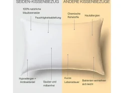 Funda de Almohada en Pura Seda de Morera 70x50 INPHYSIO