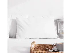Funda de almohada lisa 63x63 cm ZZZ blanco