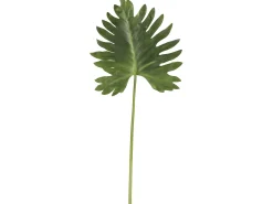 Hoja de plástico verde de 43x2x106 cm