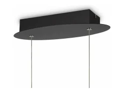 Lampadario A Sospensione Moderno Curve Alluminio Nero 1 Luce Led 42W