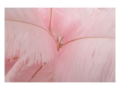 Lámpara de pie Palm Rosa Cm Ø55X160
