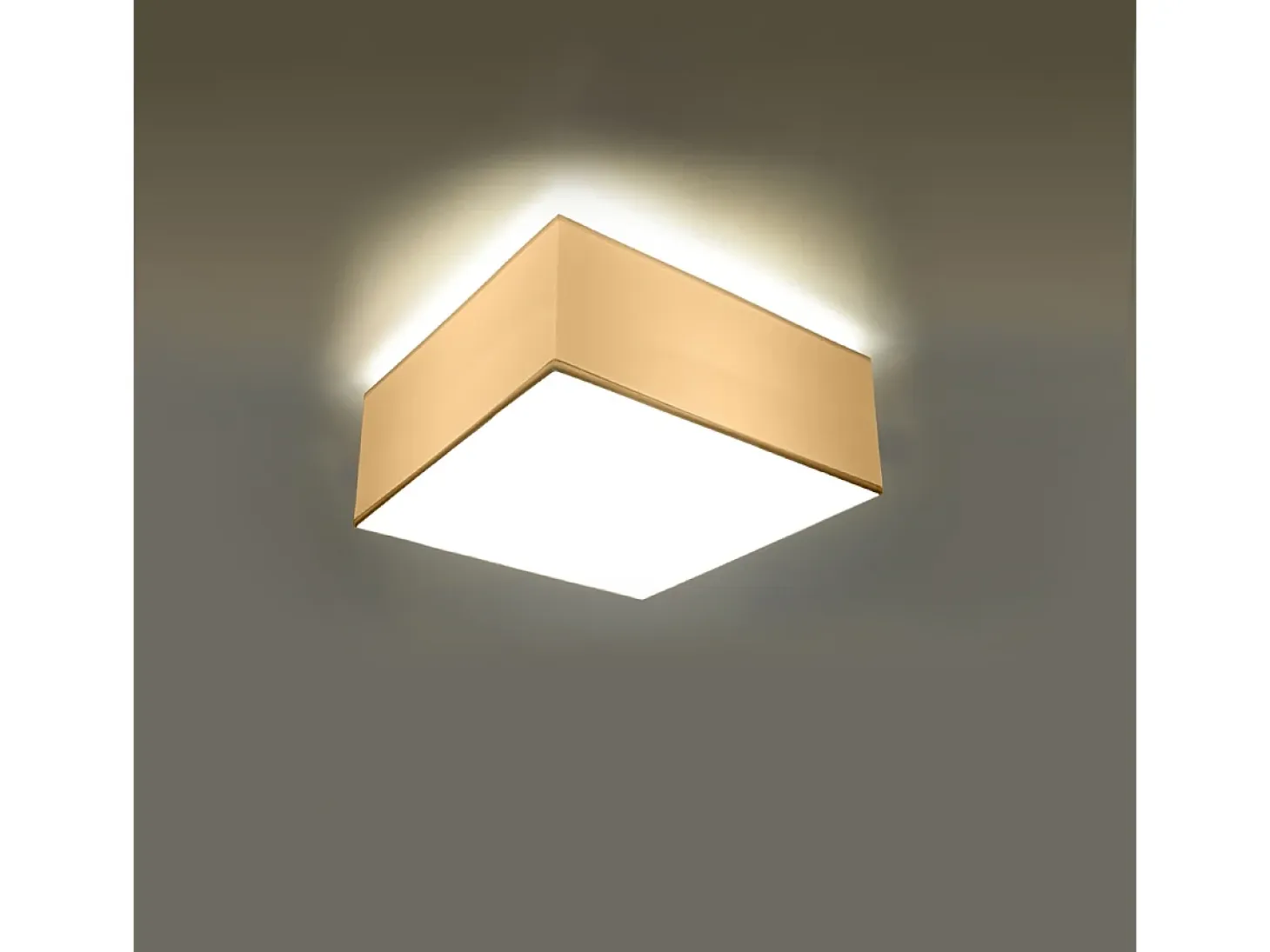 Lámparas de techo Care minimalista de CLORURO DE POLIVINILO - 1 fuentes luminosas 4000K - L.25 x A.11 cm - blanco