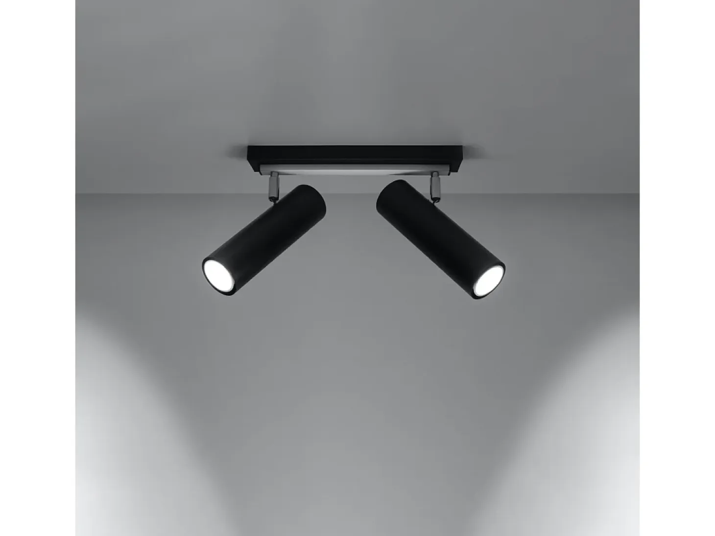 Lámparas de techo Invicta moderno de acero - 2 fuentes luminosas 4000K - L.30 x A.20 cm - negro