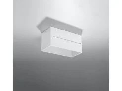 Lámparas De Techo Lobo Moderno De Aluminio - 2 Fuentes Luminosas - L.20 X A.10 Cm - Blanco