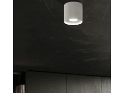 Lámparas de techo Shiis minimalista de aluminio - 1 fuentes luminosas 3000K - L.12 x A.11 cm - blanco
