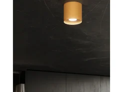 Lámparas de techo Shiis minimalista de aluminio - 1 fuentes luminosas 4000K - L.12 x A.11 cm - dorado