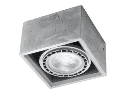 Lámparas de techo Zentra industrial de concreto - 1 fuentes luminosas 4000K - L.14 x A.9 cm - gris