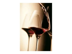 Lote de 6 Copas de Pie Soft Open Up 47 cl - Colección Open Up