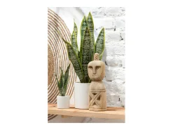 Maceta de sansevieria artificial de plástico verde de 10x10x36 cm