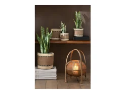 Maceta de sansevieria artificial de plástico verde de 10x10x36 cm