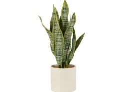 Maceta de sansevieria artificial de plástico verde de 16x16x59 cm