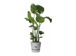 Maceta redonda 25 - Exterior Ø 24,48 x 23,31 cm - Living hormigón gris