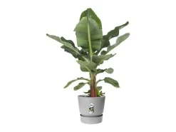 Maceta redonda 40 - Exterior Ø 39 x 36,8 cm - Living hormigón gris