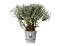 Maceta redonda 40 - Exterior Ø 39 x 36,8 cm - Living hormigón gris