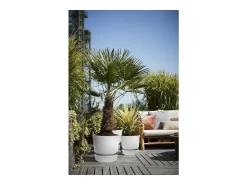 Maceta redonda 40 - Exterior Ø 39 x 36,8 cm - Living hormigón gris