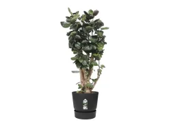 Maceta redonda 40 - Exterior Ø 39 x 36,8 cm - Living negro