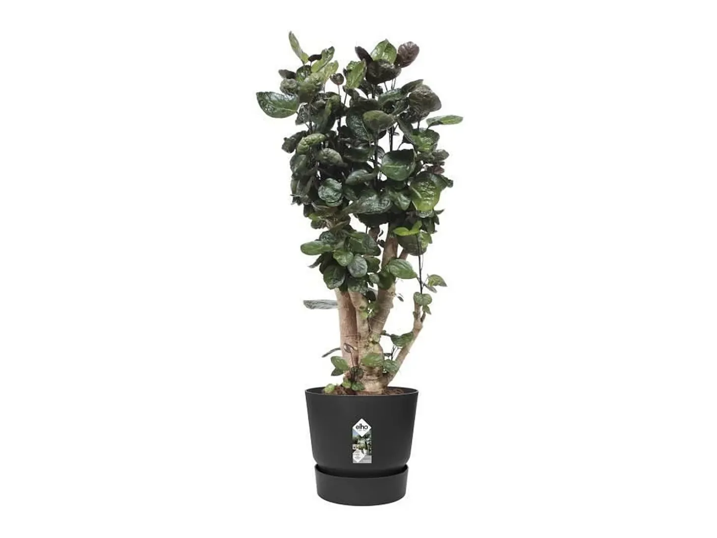 Maceta redonda 40 - Exterior Ø 39 x 36,8 cm - Living negro