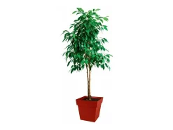 Maceta Toscana cuadrada - 39 x 39 x Alto 39 cm - 38 L - Rojo rubí