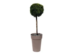 Maceta/jarrón alto Ø 46 x 65 cm - 67 L - Taupe